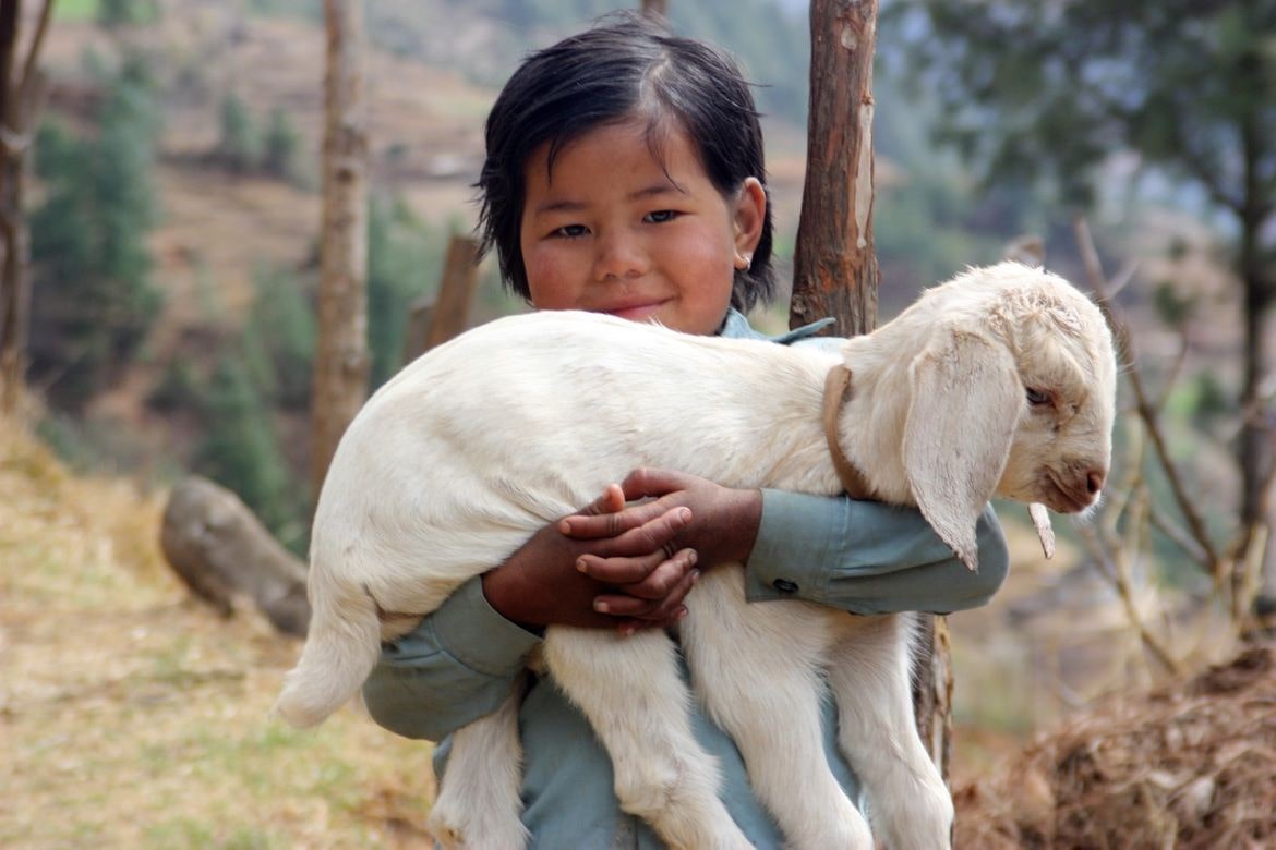 nepal little girl